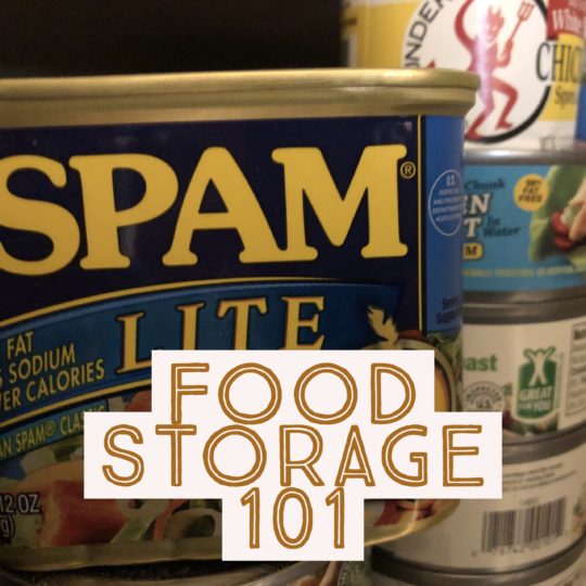 Food Storage 101 Rogue Preparedness how to get prepared for