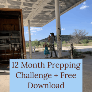 12 month prepping challenge