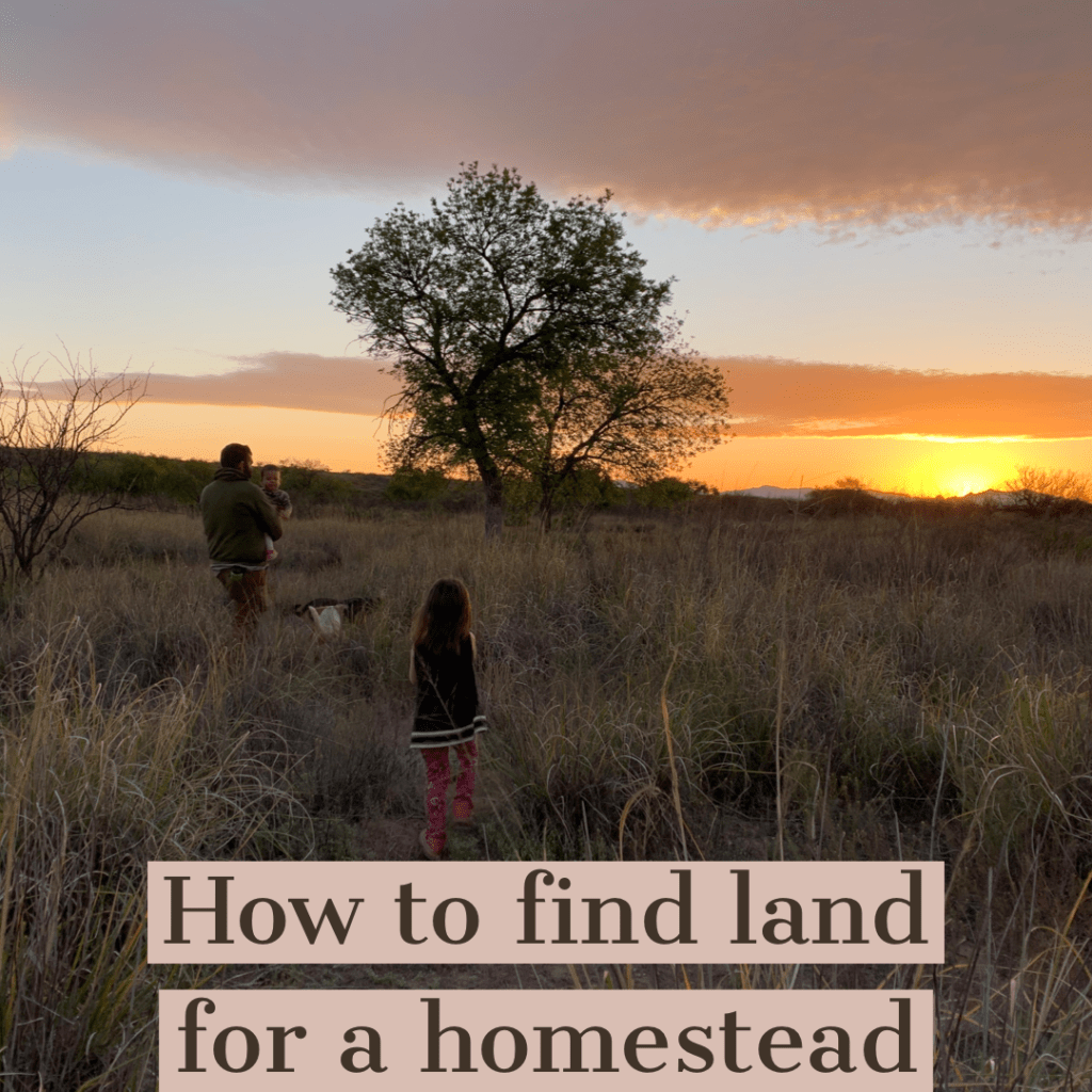 homestead land
